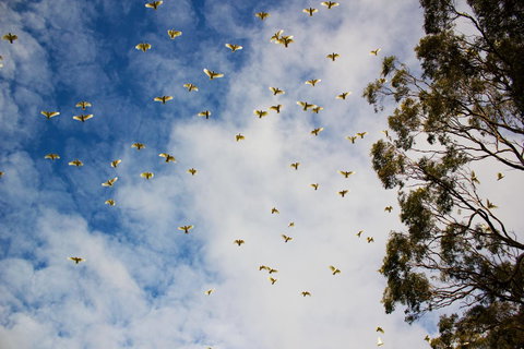 Marwood Villas - SA Accommodation 26