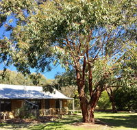Grampians Pomonal Cottages - SA Accommodation