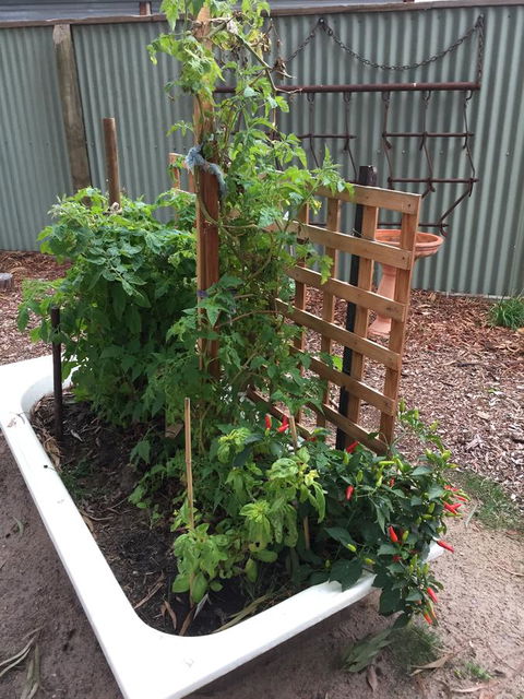 Grampians Pomonal Cottages - SA Accommodation 28