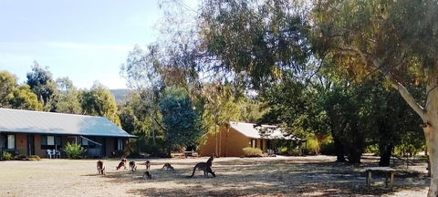 Grampians Pomonal Cottages - SA Accommodation 6