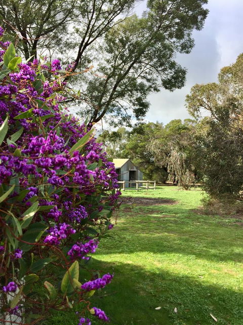 Grampians Pomonal Cottages - SA Accommodation 21
