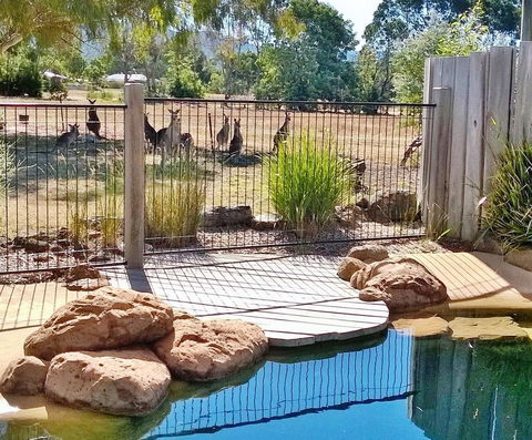 Grampians Pomonal Cottages - SA Accommodation 24