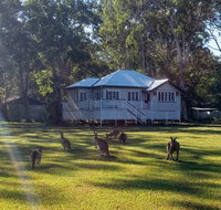 Lake Weyba Noosa Lodge  Kangaroos - SA Accommodation