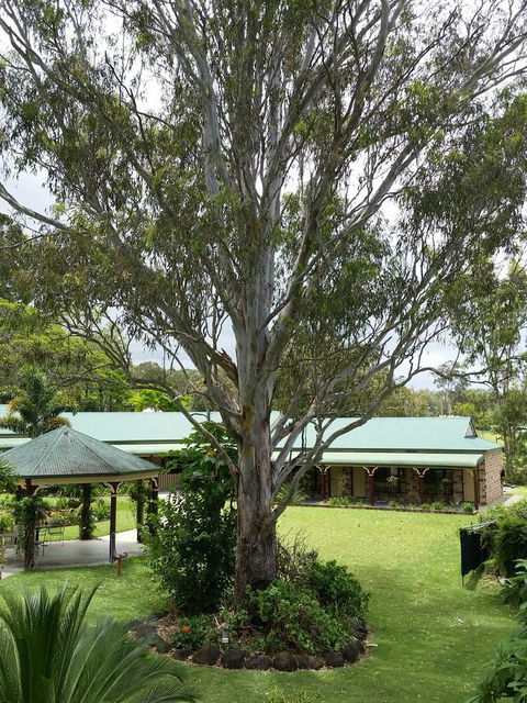 The Bearded Dragon Boutique Hotel - SA Accommodation 32