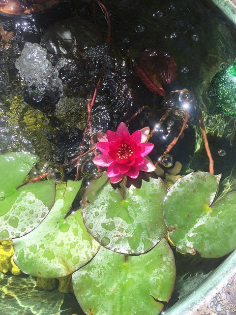 Bed & Breakfast 1 Bedroom Guest House - SA Accommodation 42