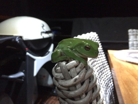 Bed & Breakfast 1 Bedroom Guest House - SA Accommodation 43