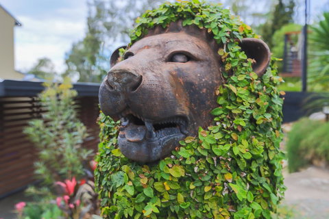 Bed & Breakfast 1 Bedroom Guest House - SA Accommodation 44