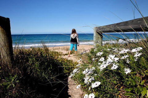 Absolute Beachfront Mollymook - SA Accommodation 4