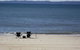 LISTEN TO THE SURF From Rickman Pde, Woorim - thumb 5