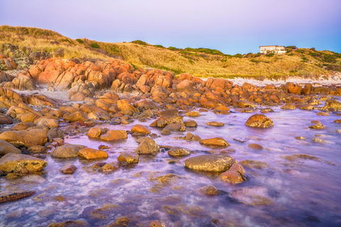Porky Beach Retreat - King Island Escapes - SA Accommodation 9
