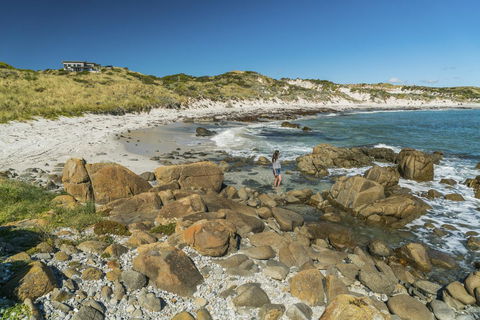 Porky Beach Retreat - King Island Escapes - SA Accommodation 13