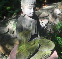 'The Tree House.' Treetop living near the ocean Coolum Beach QLD Australia - SA Accommodation