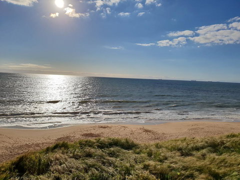 (Pets Welcome) Southern Comfort - SA Accommodation 2