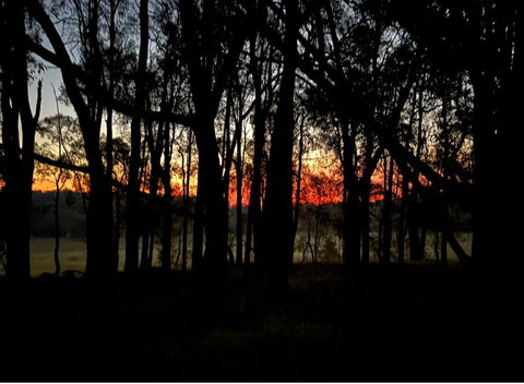 Eversprings Glamping - SA Accommodation 4