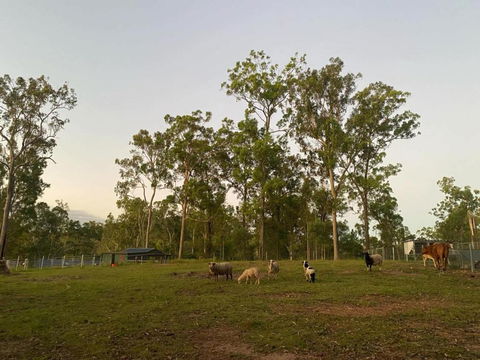 Gemmas Animal Farm By Tiny Away - SA Accommodation 1
