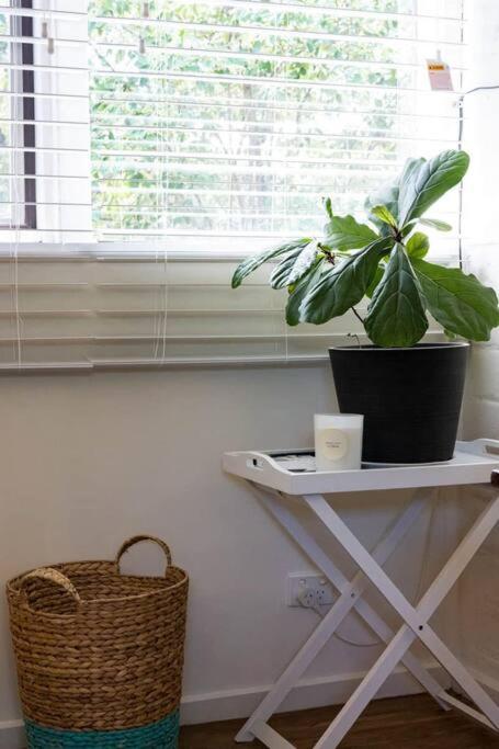 Maldon Cosy Garden Cottage - Charming One Room Studio - SA Accommodation 3