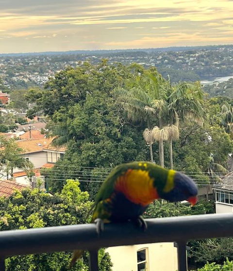Mosman Views, 2bed, Parking, 15min Walk To Beach - SA Accommodation 1