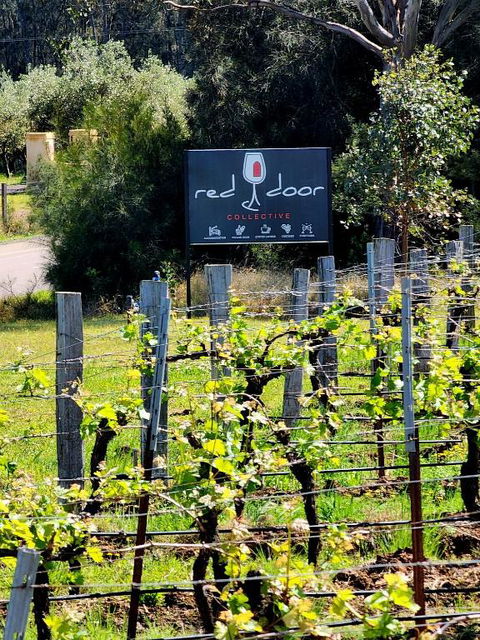 Red Door Collective - RDC Vineyard Estate, Luxury Adult Only Stay - SA Accommodation 1