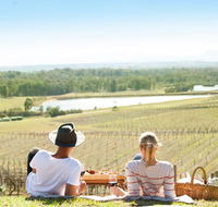 Audrey Wilkinson Vineyard - SA Accommodation