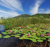 Barrington Hideaway- River Cottages - SA Accommodation
