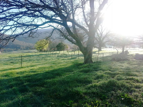 Bay Creek Guest House - SA Accommodation 0