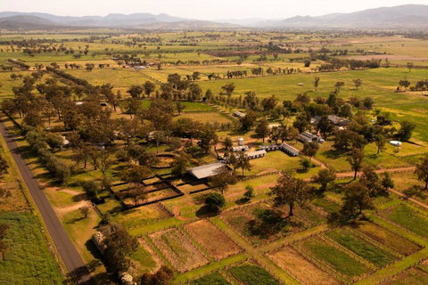 Redbank Estate - Luxury In Scone - SA Accommodation 2