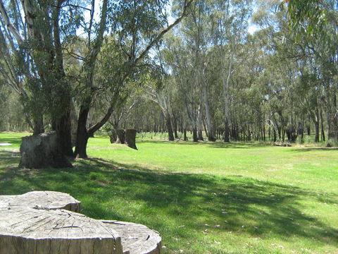 Rivergum Holiday Park - SA Accommodation 2