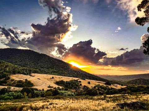 Roam Merrijig - Luxury Stay With Mountain Views - Foothills Of Mt Buller - SA Accommodation 1