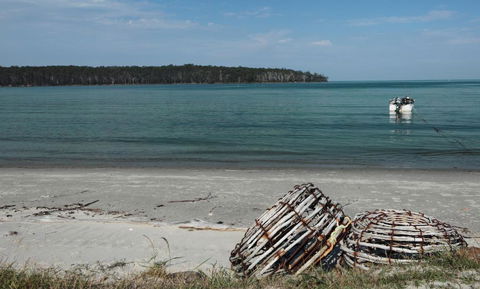 Rock Lobster - SA Accommodation 2