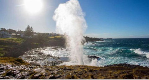 SALTY PALMS -Seaside Studio Apartment - SA Accommodation 2