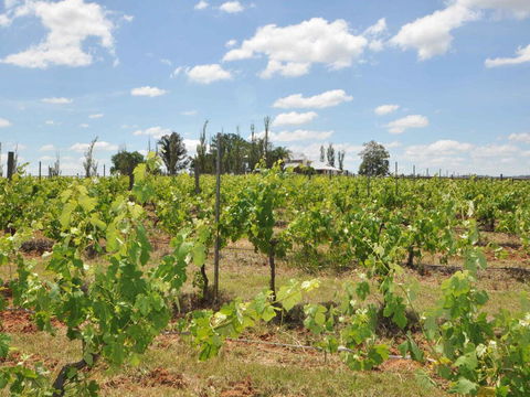 Beggars Bridge Vineyard Homestead W/ Pool + Wifi + Tennis + Vineyard - SA Accommodation 2