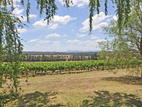 Beggars Bridge Vineyard Homestead W/ Pool + Wifi + Tennis + Vineyard - SA Accommodation 3