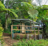 Binna Burra Rainforest Campsite - SA Accommodation