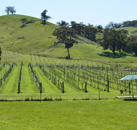 Blue House at Mountainside Wines - SA Accommodation