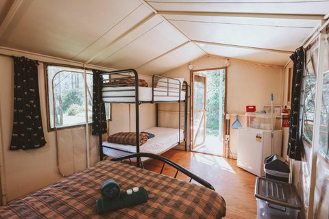 BIG4 Breeze Holiday Parks - Carnarvon Gorge - SA Accommodation 1