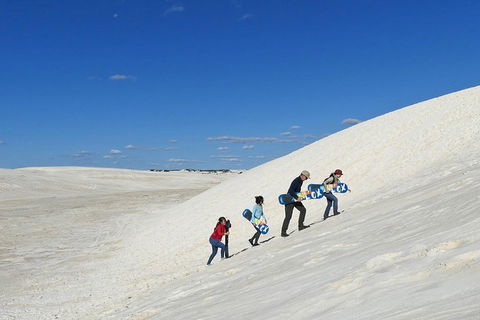 Private, Luxury Pinnacles Tour: Stargazing, Sand-boarding & Sightseeing - SA Accommodation 4