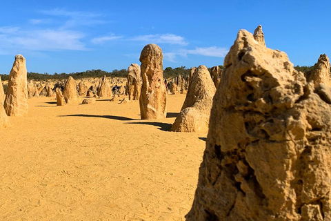 Pinnacles Desert (Private) Day Tour - SA Accommodation 0