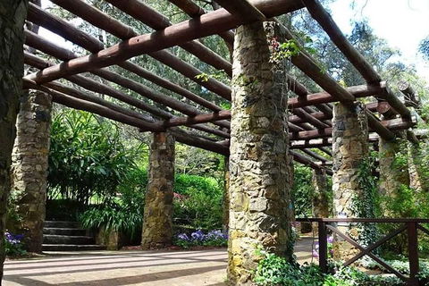 Spring Wildflower (Private) Day Tours - SA Accommodation 2