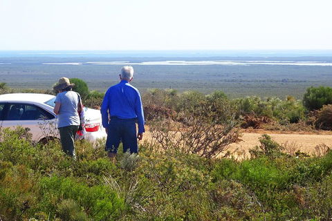 Spring Wildflower (Private) Day Tours - SA Accommodation 3