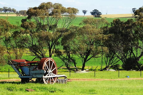 Spring Wildflower (Private) Day Tours - SA Accommodation 4