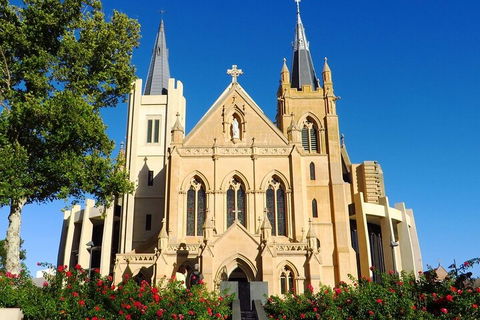 Perth Scavenger Hunt: Perched On A Swan - SA Accommodation 1