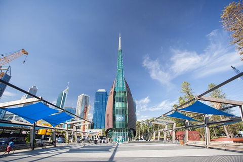 Perth Scavenger Hunt: Perched On A Swan - SA Accommodation 3