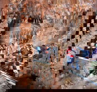 Private Tour Jenolan Caves  Blue Mountains in a day - SA Accommodation