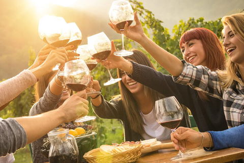 Mornington Peninsula Tour Inc Chairlift,beach Boxes,lunch,choc Tasting And More - SA Accommodation 3