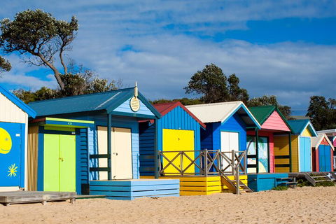Mornington Peninsula Tour Inc Chairlift,beach Boxes,lunch,choc Tasting And More - SA Accommodation 5