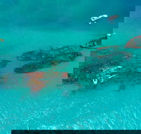 Private Tangalooma Wrecks Tour - SA Accommodation