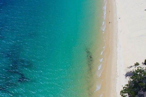 Private Tangalooma Wrecks Tour - SA Accommodation 1