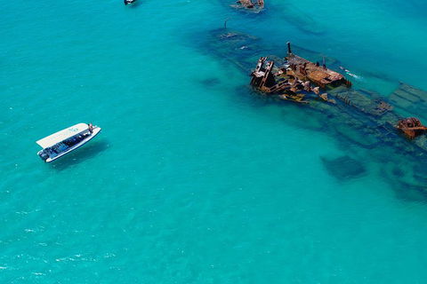 Private Tangalooma Wrecks Tour - SA Accommodation 4