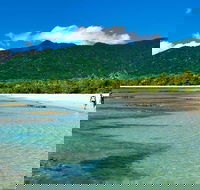 5-Day Best of Cairns with Daintree Kuranda and Great Barrier Reef - SA Accommodation