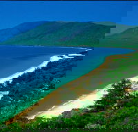 Cairns Reef and Rainforest Combo Daintree Rainforest and the Great Barrier Reef - SA Accommodation
